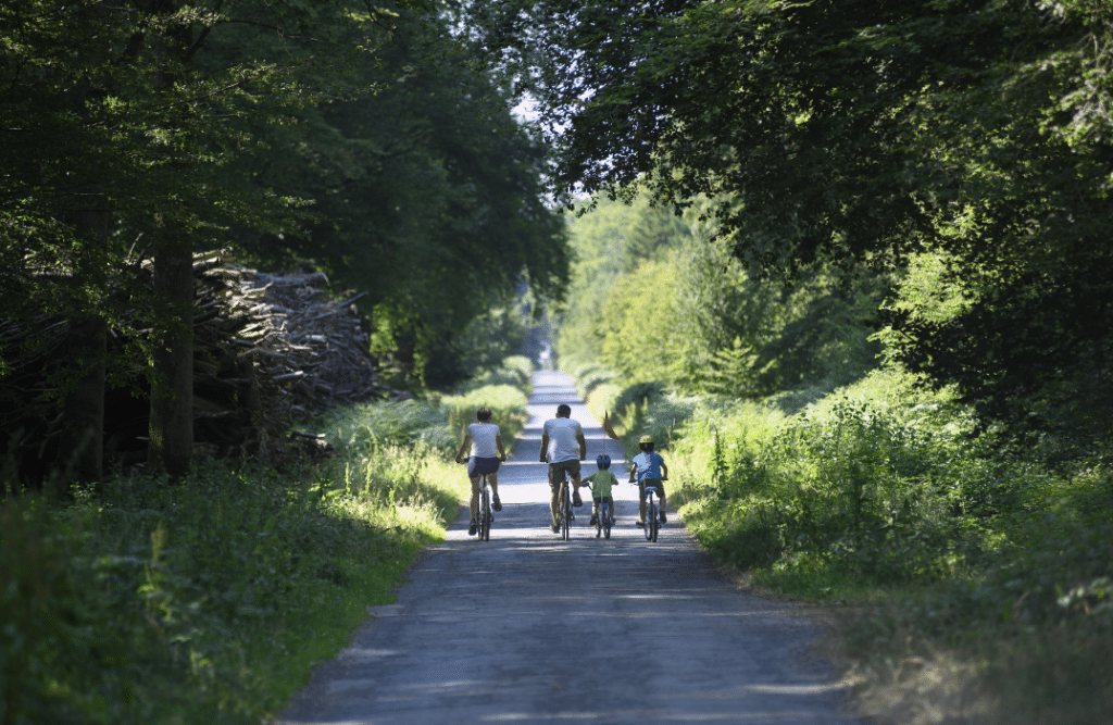 Foret de crécy